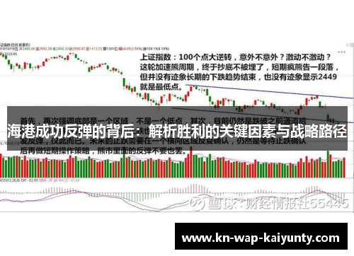 海港成功反弹的背后：解析胜利的关键因素与战略路径