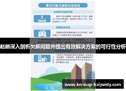 赵鹏深入剖析欠薪问题并提出有效解决方案的可行性分析