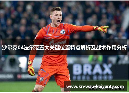 沙尔克04法尔范五大关键位置特点解析及战术作用分析