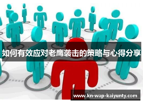 如何有效应对老鹰袭击的策略与心得分享 如何有效应对老鹰袭击的策略与心得分享