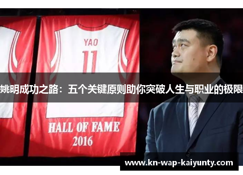 姚明成功之路:五个关键原则助你突破人生与职业的极限 姚明成功之路:五个关键原则助你突破人生与职业的极限
