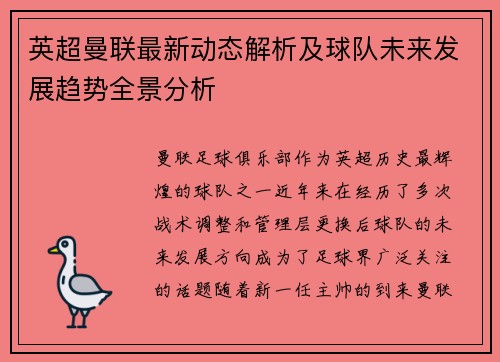 英超曼联最新动态解析及球队未来发展趋势全景分析 英超曼联最新动态解析及球队未来发展趋势全景分析
